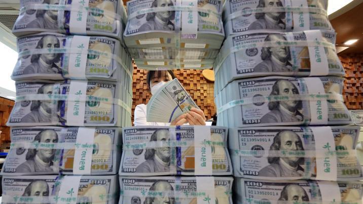 대미 투자 재원으로 쓸 외화자산, 4년에 1번꼴 손실…대미 투자 재원조달 차질 우려