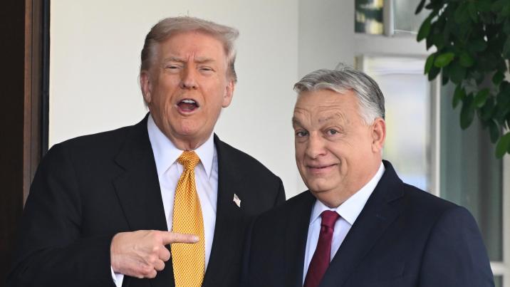 트럼프, 해외 우파정권에 파격적 보상