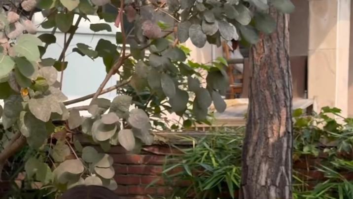 ‘동의 없는 배아 이식’…이시영 논란에 변호사 “형사처벌 어려워”