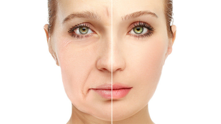 “노쇠 수컷 쥐 수명 70% 연장”…두 약물 조합, 현대판 ‘불로초’ 될까?