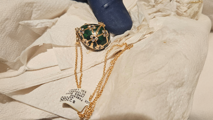 “화장실 갈 때마다 긴장”…3000만원 보석 삼킨 절도범 결국 6일만에