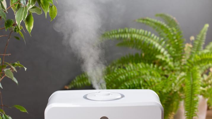 가습기, 독감 예방에 얼마나 효과 있나? 과학이 밝힌 진실