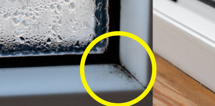 “팔 아프게 벅벅 NO!” 창문 곰팡이, 2000원으로 박멸 [알쓸톡]