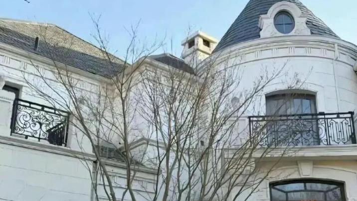 “재산 2조, 신붓감 구함…조건은 애국자” 中 남성 공개 구혼