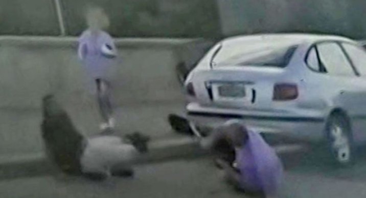 결혼 35주년 앞둔 부부, 호주 총격범 총 빼앗으려다 끝내…