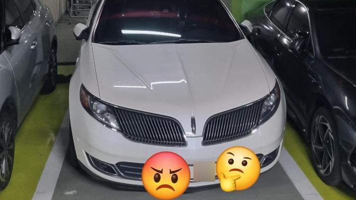 보행자 통로 막고 ‘떡하니’…새해부터 ‘민폐 차주’ 등장