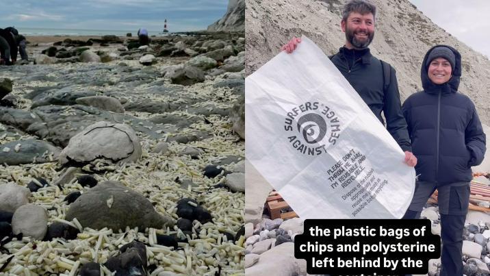 감자튀김으로 뒤덮인 英 해변…“화물선 실수에 생태계 파괴 우려”