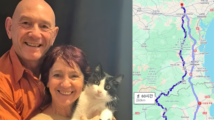 “주인 찾아 260km 국경 질주” 5개월 만에 고양이가 돌아와