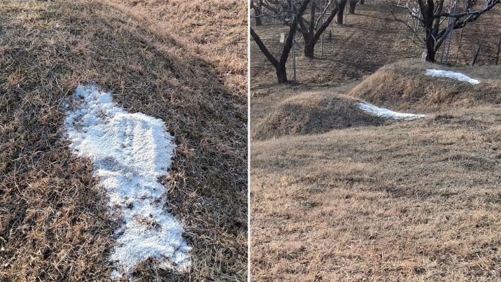 무슨 주술이길래…마을 묘소 11곳에 ‘소금 테러’