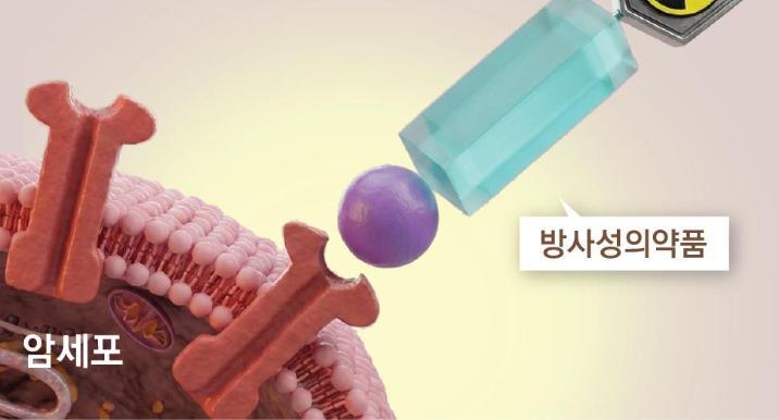 암세포만 콕집어 공격… 방사성의약품 ‘글로벌 왕좌’ 경쟁 치열