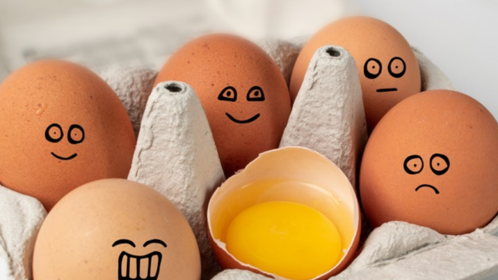 “달걀, 냉장고 문에 두지 마세요”…뾰족한 부분은 아래로 둬야