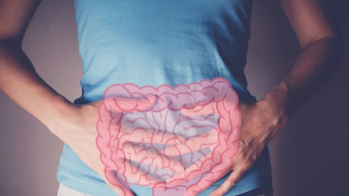 단백질 시대 끝?…위고비 열풍에 ‘식이섬유’ 떴다