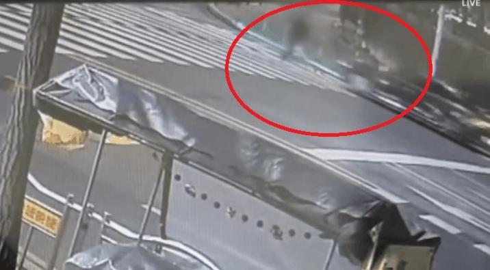 ‘면직’ 산림청장, 술 취해 무법질주…보행자 칠뻔, 車 2대 ‘쾅’