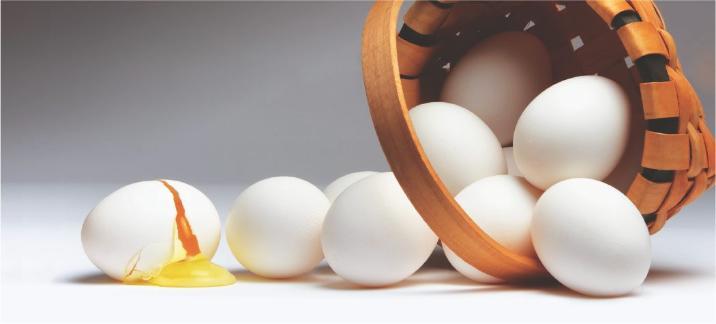 AI로 찾은 ‘살모넬라균 천적’… 항생제보다 억제력 높아