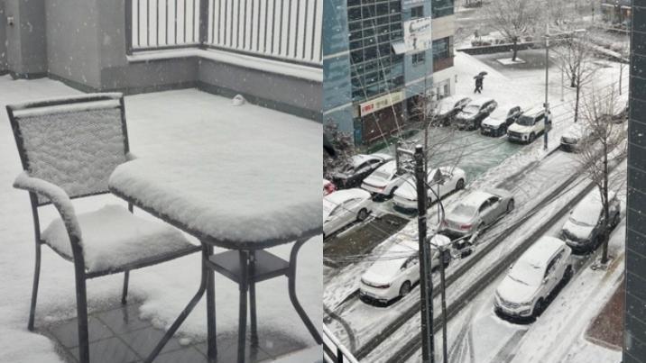 “대구에 이렇게 눈이 온다고?” 시민들도 놀란 ‘2월 폭설’