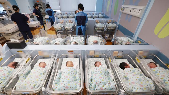 작년 합계출산율 0.8명으로 올라…결혼 늘어난 만큼 아기 늘었다