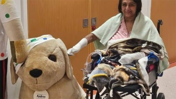 반려견이 상처 핥았을 뿐인데…패혈증으로 사지 절단