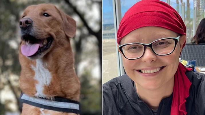 “남편 암 눈치챘던 애견, 내 가슴 쿡쿡…유방암 발견”