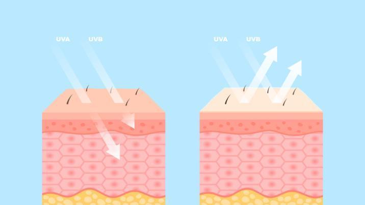 “콜라겐, 피부 탄력 개선 효과 있다…단, 주름은 못 막아”