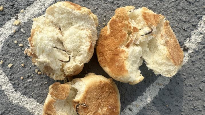 반려견놀이터에 ‘낚싯바늘 빵’ 던져놓은 60대…“개 짖는 소리 시끄러워”