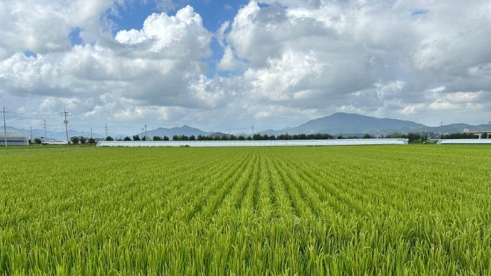 李 “농지 전수조사” 지시에, 이르면 이달 첫 전국 조사 나선다