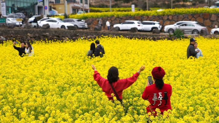 계엄-탄핵에도 삶의 만족도 최고치…계층이동은 10년래 최저
