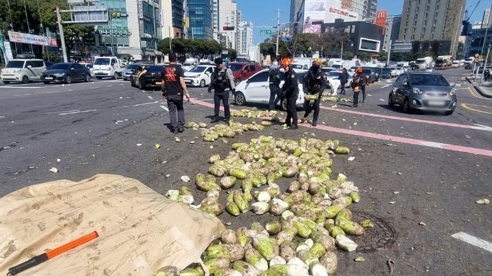 월동무 2t 도로에 ‘와르르’…시민들이 달려와 도왔다