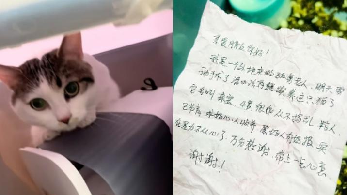 “내일 수술, 더는 못 돌봐”…현금·쪽지와 남겨진 고양이