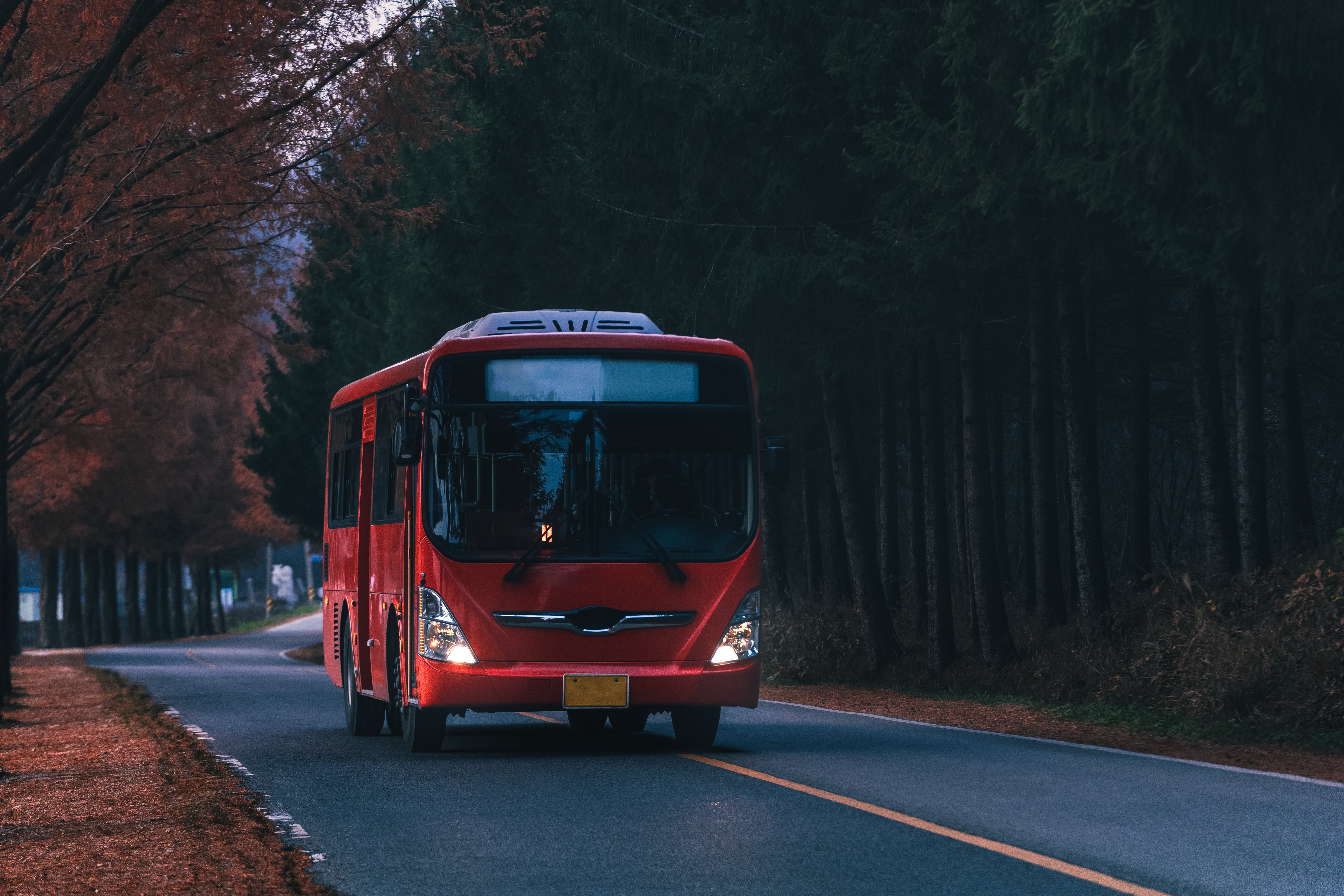 독일 15세 소년, 버스 훔쳐 130km 주행…“여친 등교시키려”