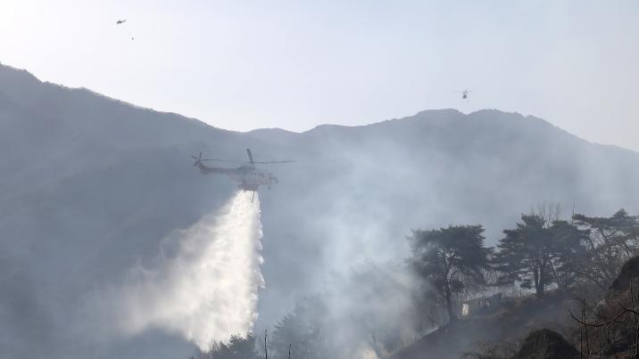 함양 산불 범인은 ‘봉대산 불다람쥐’… 17년간 90여건 방화