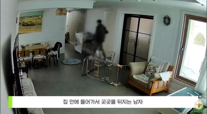 “빈 집이네”…태연히 집안 누빈 도둑 ‘홈캠’에 딱걸려