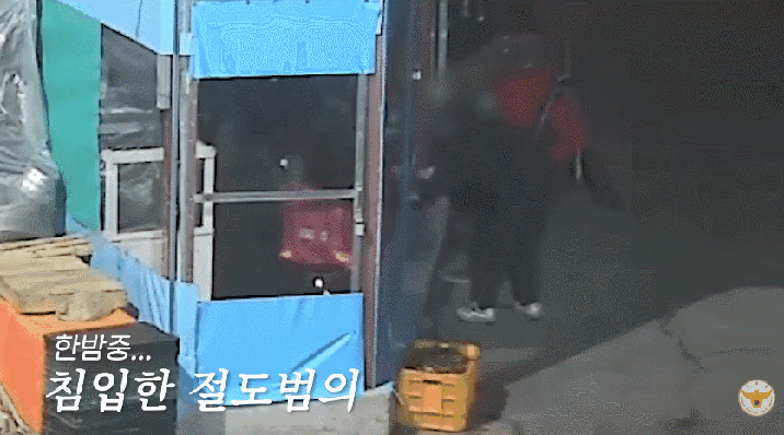 울산 전통시장서 문어 상습절도 덜미…“배고파서 슬쩍”