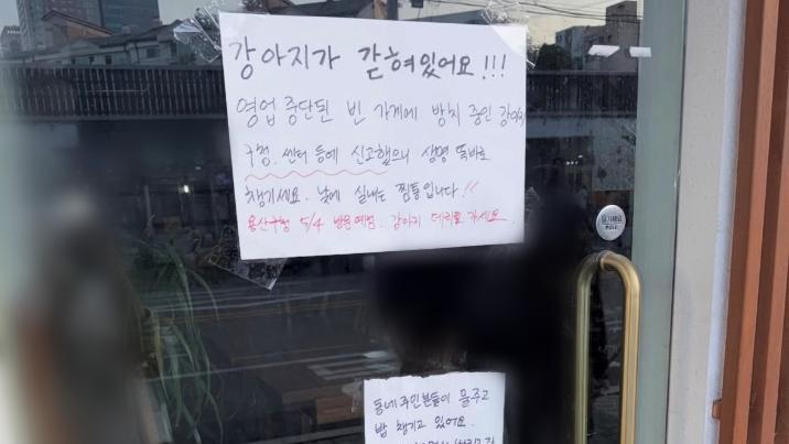 “폐업 후 강아지 버리고 가”…성시경 추천 ‘용산 맛집’ 노견 방치 논란