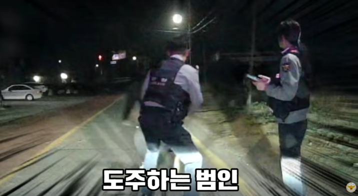 “도주 2초 만에 넘어졌다”…불심검문 피해 달아난 야간 절도범의 최후