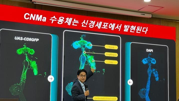 단백질 부족하면… 장이 뇌에 “아미노산 먹어” 신호