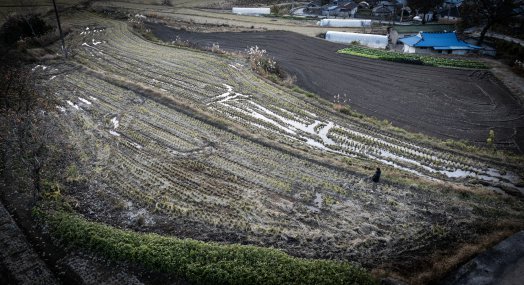 ‘친구’란 말에, 치매 아버지는 고향땅 800평을 팔았다