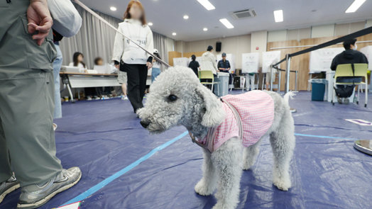 사전투표율 23.51% 역대 지선 최고…1050만명 선택 마쳤다