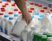 ‘美의 2배’ 우윳값 내년 더오를듯… 원유가 연동-수입 사료 탓