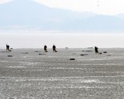 “온난화로 2050년 해수면 3.6cm…상승 인천은 4cm”