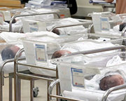 작년 4분기 출산율, 사상 첫 0.65명 쇼크…10년 만에 출생아 반토막