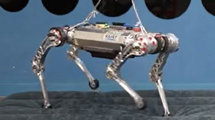 스파이더맨 로봇 다음은? 모래 위 달리는 ‘사족보행 로봇’