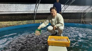 파산 직전에 일본 능가… “고등어 6개월이면 1만배”