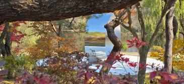 호암미술관 ‘비밀의 정원’이 열렸다…이우환과 정영선의 ‘무위(無爲)’