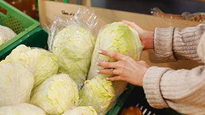 “네 가지만 기억하자”…김장 성공 위한 ‘최고의 배추’ 고르는 법