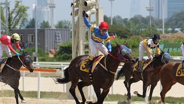 굴착기 대신 말에 오른 청년 박태종, ‘2249승’ 전설  남기고 기수 생활 마무리