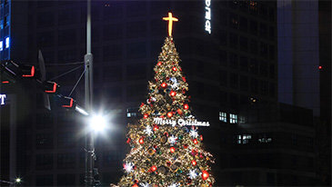 1886년 12월 24일 韓 최초 성탄 트리 세우다