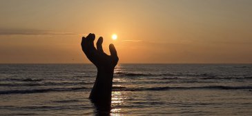 지구가 가꾼 ‘바다 정원’에서 새해를 만나다