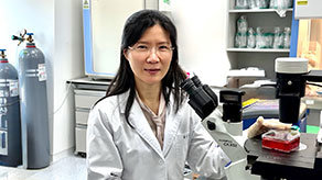 혈액형 무관하게 쓰는 ‘만능혈액’ 개발… “헌혈 한계 넘어설 차세대 기술”