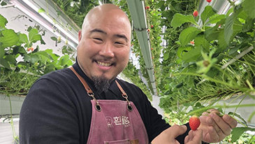 금메달 감독→‘딸기 농부’ 김형일 “아기처럼 키웁니다”