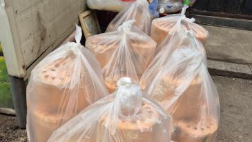 “함부로 발로 차지 마라”